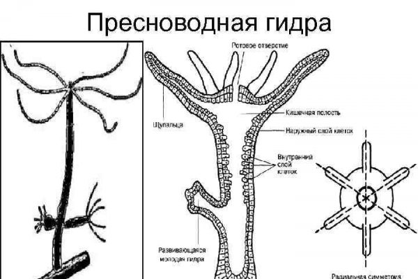 Кракен kr2web in сайт официальный