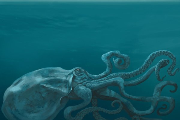 Зеркало kraken тор ссылка рабочее